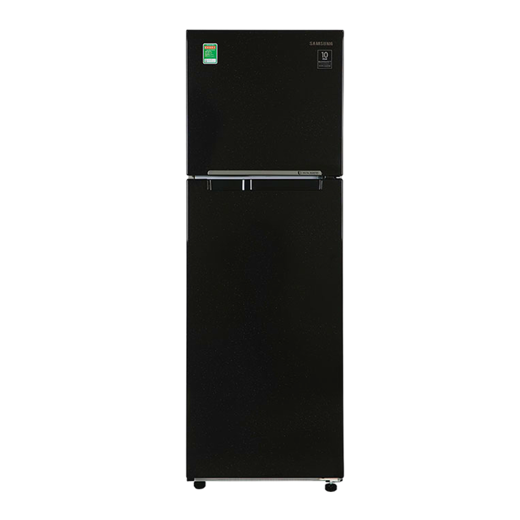 Tủ lạnh Samsung Inverter 256 lít RT25M4032BU/SV